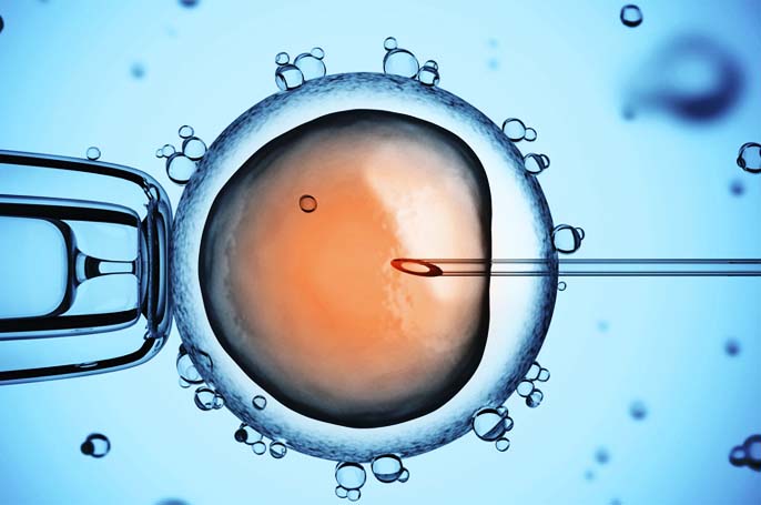 IVF
